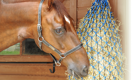 Hay and Feed