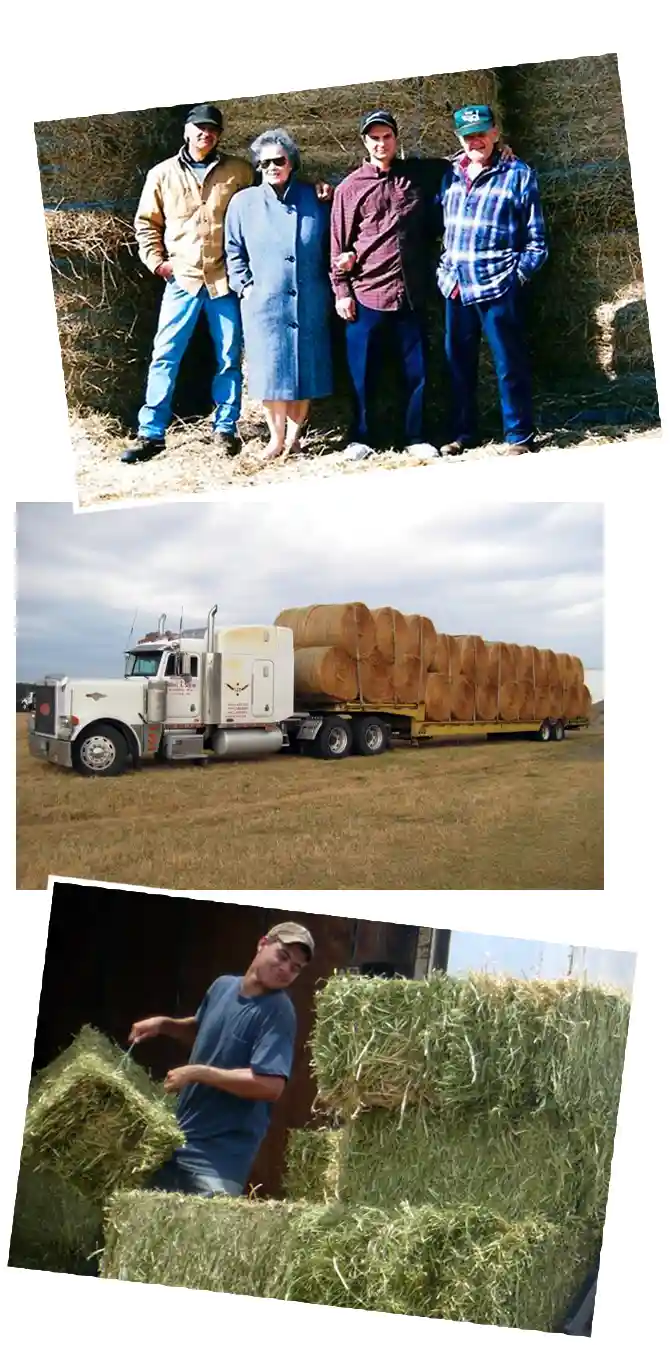 Schiro's store and products